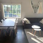 Levin Roelli 2 Levi