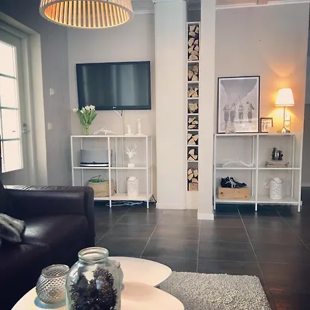 Levin Roelli 2 * 레비