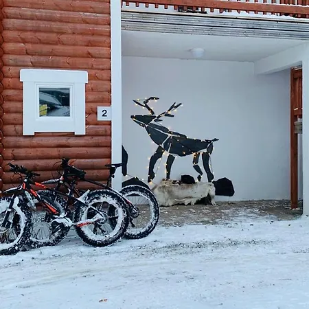 Levin Roelli 2 * Леви