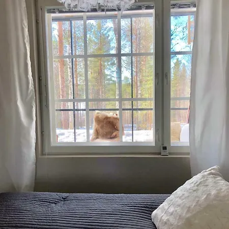 Levin Roelli 2 Апартаменты