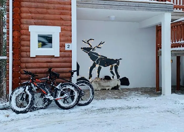 Levin Roelli 2 * Levi