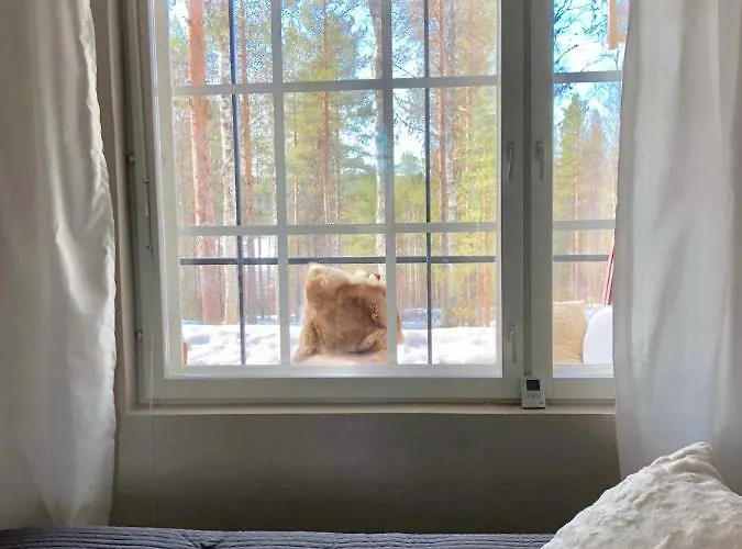 Levin Roelli 2 아파트